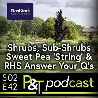 Shrubs and Sub-Shrubs, Sweet Pea String Trick, Florist and RHS Answer Your Questions.