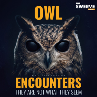 The Owls Are Not What They Seem - [PATREON TEASER: THE FILE ROOM]