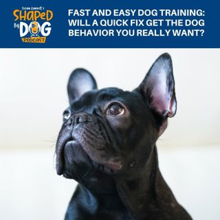 Fast And Easy Dog Training: Will A Quick Fix Get The Dog Behavior You Really Want? #299