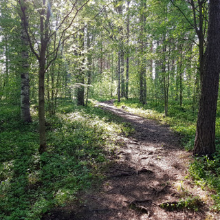 Kuhasalon hiljaisuuden polku: Tervetuloa