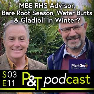 Royal Horticultural Society MBE Advisor, Bare Root Season, Water Butts & Gladioli in Winter?