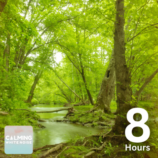Swamp Ambience (8 Hours) | Relaxing Cricket & Frog Sounds for Sleep or Stress Relief
