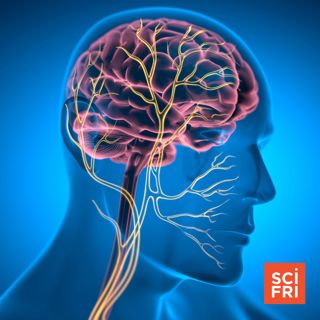 Is there science behind the ‘nervous system reset’?