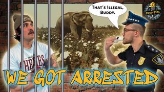 Weird laws that ACTUALLY EXIST!