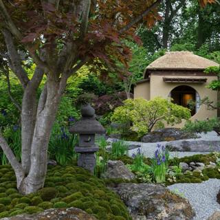 The RHS Chelsea Flower Show 2025