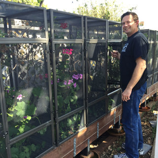 Ep 16: Outdoor Chameleon Keeping