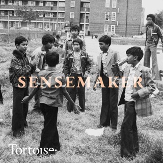  Sensemaker: Riots, racism and British society