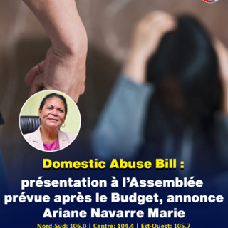 Domestic Abuse Bill : présentation à l’Assemblée prévue après le Budget, annonce Ariane Navarre Marie