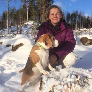 Varmare vintrar och målade stubbar