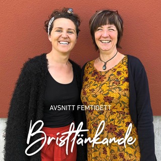 51. Bristtänkade