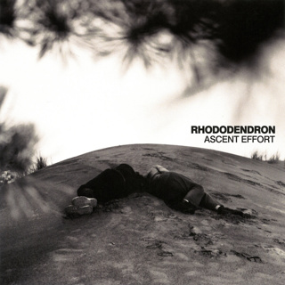 ALBUM REVIEW: Rhododendron - Ascent Effort