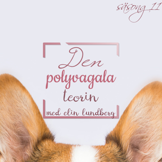 Den polyvagala teorin