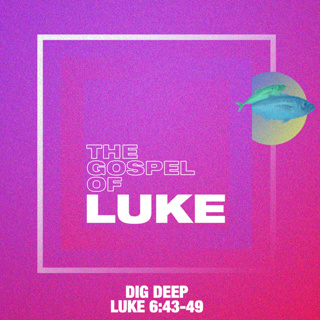 Luke: Dig Deep - Luke 6:43-49