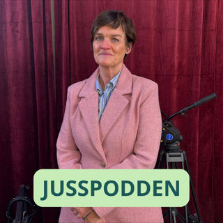 §285 Klimaaktivister i Høyesterett