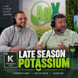Your Soil Has Potassium. So Why Can’t Your Crop Get It?