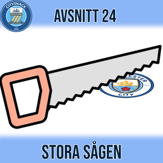 #24 - STORA sågen