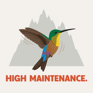 Okay, but what's it like as a bird at the top of the world?