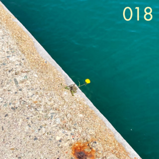 RSS Disco #018 / summer 2026