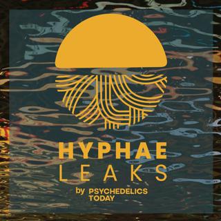 PT439 – Introducing Hyphae Leaks: Not Your Average Psychedelic Podcast