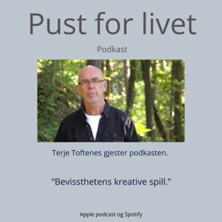 Terje Toftenes. "Bevissthetens kreative spill."
