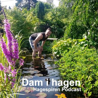 08/23: Dam i hagen med Espen Skarphagen