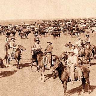 Dust and Dreams: The Epic Western Cattle Trail