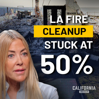 US Army Corps Exits LA Fires Cleanup Effort — What’s Next? | Elaine Culotti