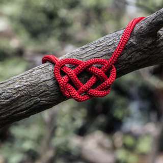 The Way Seeking Heart