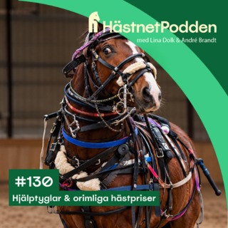 130. Hjälptyglar & orimliga hästpriser