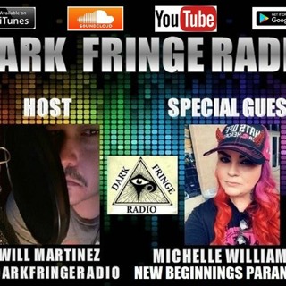 DFR Episode #37 Interview With Michelle Williamson