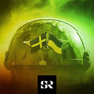 Så beväpnade Sverige Ukraina i hemlighet
