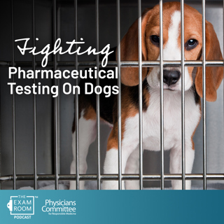 Fighting For Dogs: A Drug Company's Push To End Animal Testing