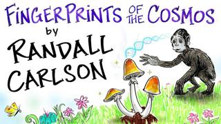 FINGERPRINTS of the COSMOS - Randall Carlson - A Fireside Talk | After Skool