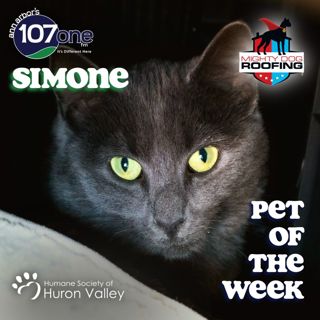 a2VV: HSHV Pet of the Week 10/30/25