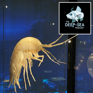 The Norwegian Deep with Dr. Anne Helene Tandberg