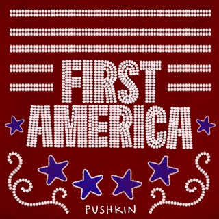 INTRODUCING: First America by Rebecca Nagle 