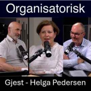 Moderne organisasjonsarbeid