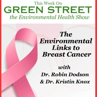 The Environmental Links to Breast Cancer