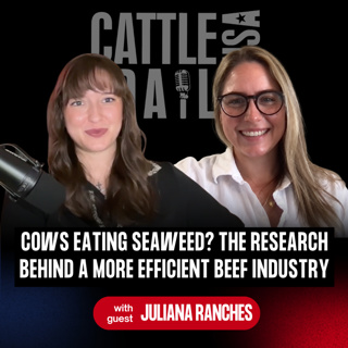 413: Cows Eating Seaweed? The Research Behind a More Efficient Beef Industry with Juliana Ranches