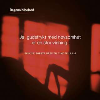 Dagens bibelord 21. juli 2023 - 1 Tim 6,6–10
