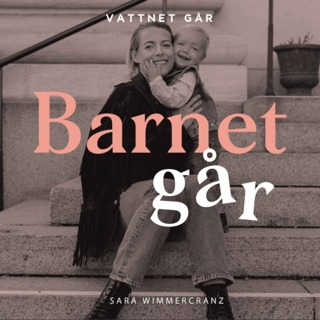 868. Barnet Går - Sara Wimmercranz "Ett starkt team är nyckeln till framgång"