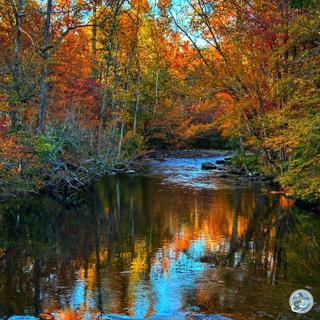 S6, Ep 130: Casting in Color: Mac Brown's Fall Fly Fishing Strategies