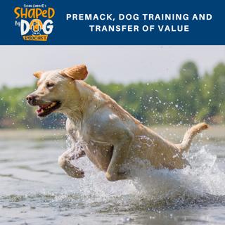 Premack, Dog Training and Transfer of Value #90