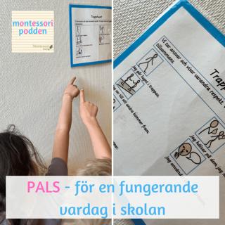 PALS - för en fungerande vardag i skolan