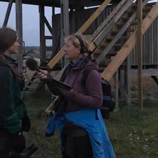 Höstfågelmorgon vid Vendelsjön - och skogsdikenas stora klimatpåverkan