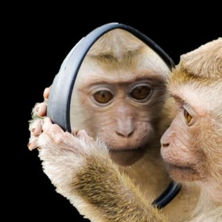 Mysteries of Consciousness