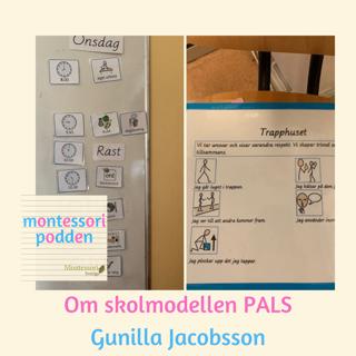 Skolmodellen PALS på Montessori?