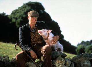 Rated or Dated: Babe (1995)