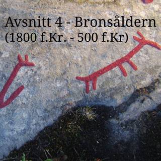 4. Bronsåldern (1800 f.Kr. - 500 f.Kr.)