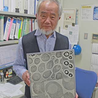 Ohsumi vill inte vara medicinpristagare (R)